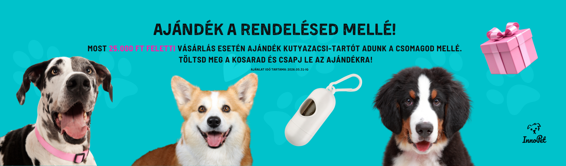 inno-pet.hu