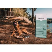 Mojestik Gluten Free Adult 12 kg - gluténmentes kutyatáp felnőtt kutyáknak