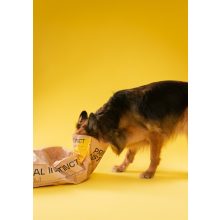 Primal Instinct Strength & Endurance 12 kg - gabona- és csirkementes kutyatáp közepes és nagytestű kutyák számára