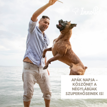 Apák napja – Köszönet a négylábúak szuperhőseinek is!