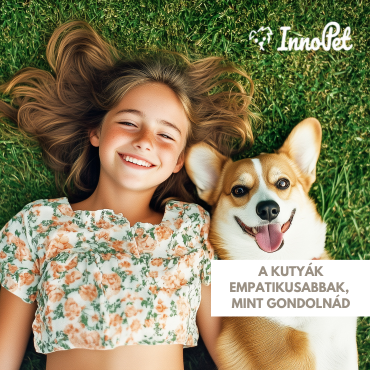 A kutyák empatikusabbak, mint gondolnád