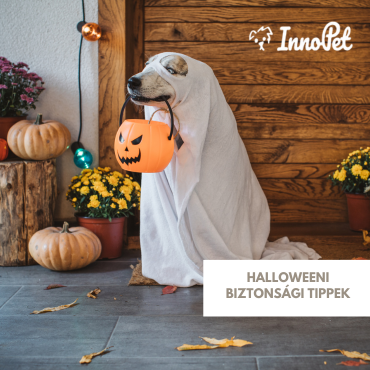 Októberi Halloweeni biztonsági tippek