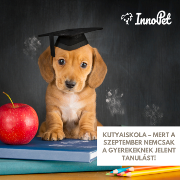 Kutyaiskola – mert a szeptember nemcsak a gyerekeknek jelent tanulást!
