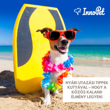Nyári utazási tippek kutyával – Hogy a közös kaland élmény legyen!