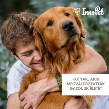 Kutyák, akik megváltoztatták gazdijuk életét – Történetek a feltétel nélküli szeretetről