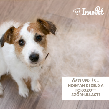 Őszi vedlés – hogyan kezeld a fokozott szőrhullást?